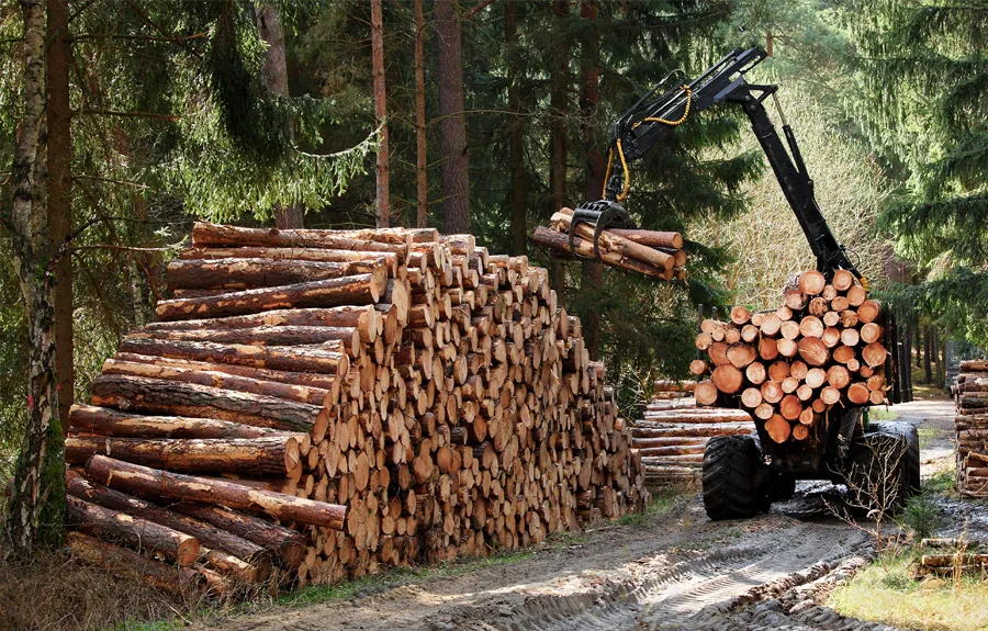 Forest Industry